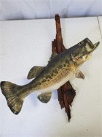 Bass on Driftwood Fish Mount Taxidermy