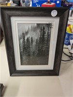 Picture frame 5x7