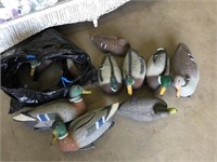 12 plastic duck decoys