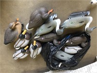 15 plastic duck decoys