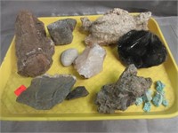 Assorted Petrified Bones & Rocks -Obsidian, Turq.
