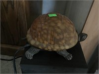 Turtle light needs bulb