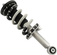 Sawyer Auto Front Left Right Complete Strut Spring