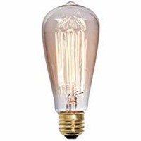 Vintage Style 40 Watt Dimmable Light (Set of 2)