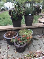 5 Assorted Planters