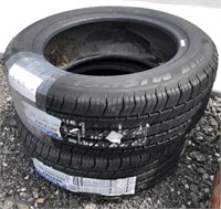 2 Michelin Destiny - P205/55R16 89S Tires