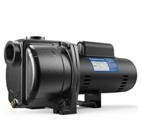 AQUASTRONG 2 HP Centrifugal/Jet Pump, 5200 GPH,