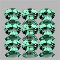 Natural Paraiba Green Apatite 9 Pcs (Flawless-VVS)