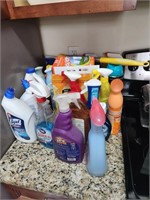 Cleaning Supplies #605