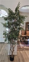 Very Tall Faux Ficus