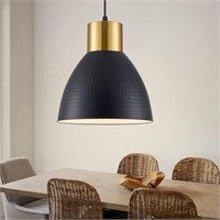 Industrial Pendant Light  Adjustable (Black)