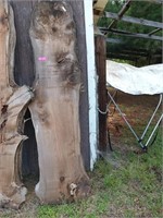 Cedar slab 7 ft x 18 in x 2 in