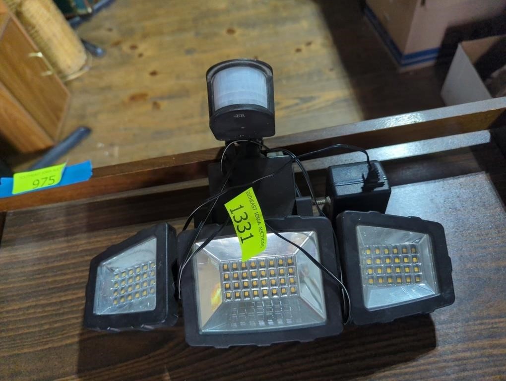 Wired motion flood light