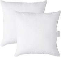 Throw Pillow Inserts Pack of 2