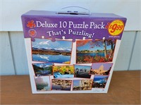 Deluxe 1o-Count Puzzle Pack