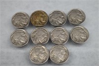 Buffalo Nickels -Lot of 10 Coins