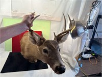 **8 POINT DEER SHOULDER MOUNT