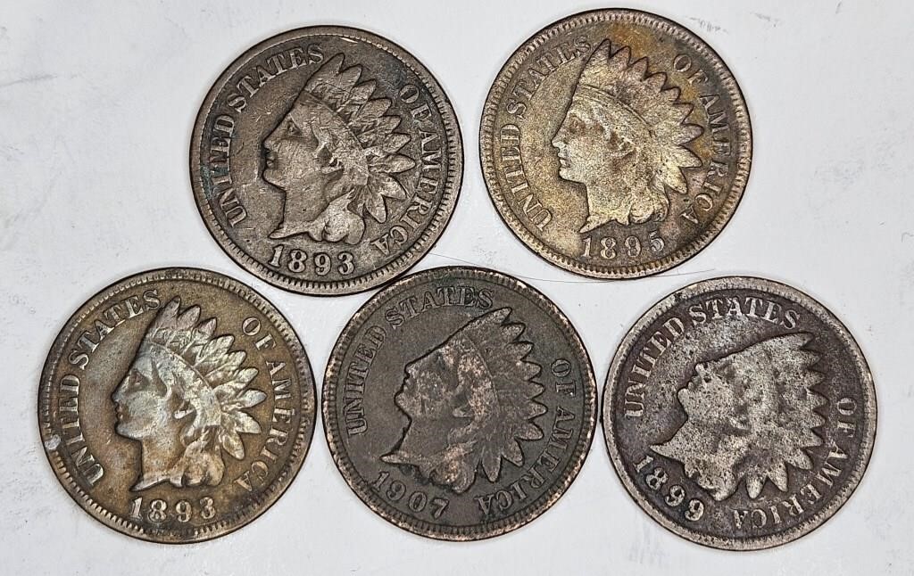 Lot of 5 Indian Head Cents