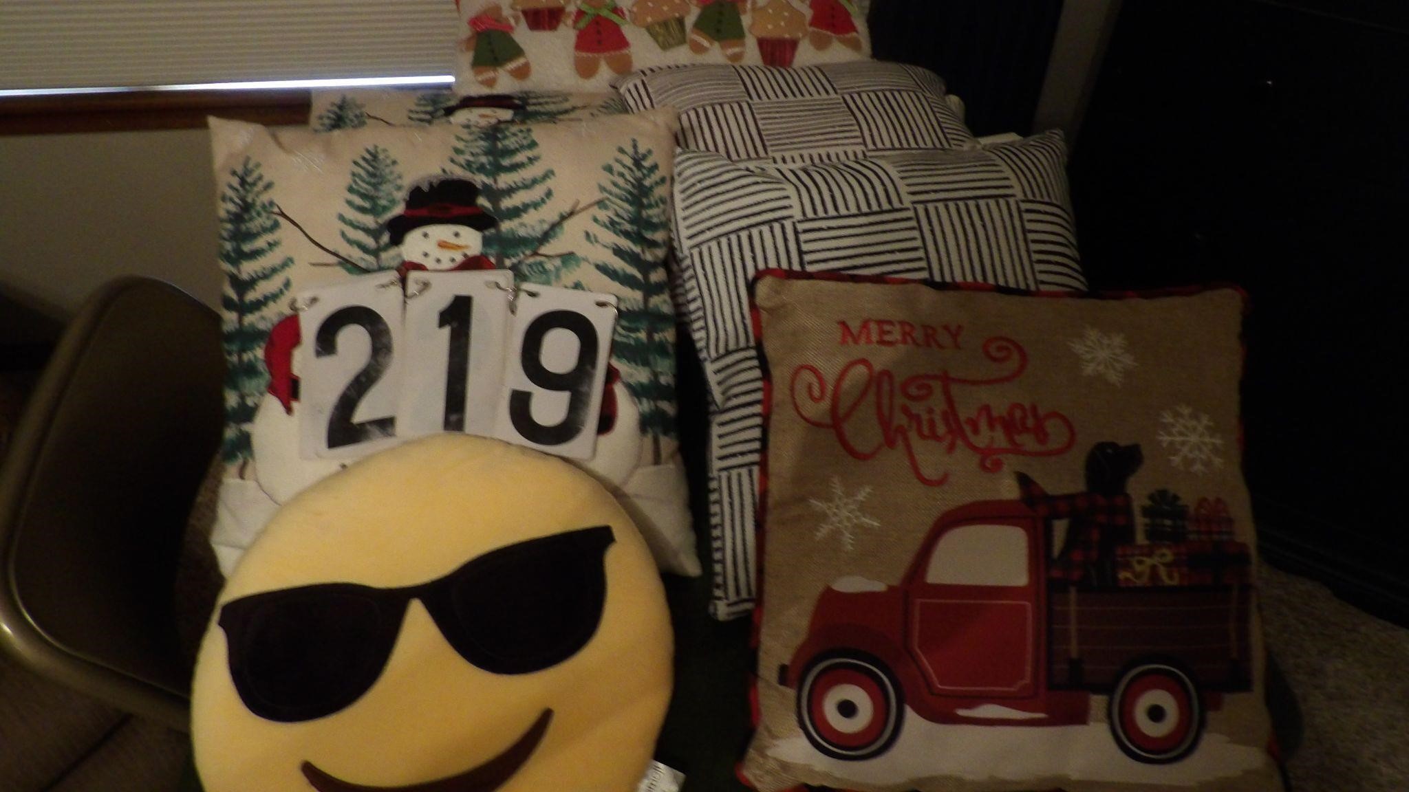 Holiday Pillows