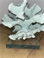 CORAL SCULPUTURE ON GLASS