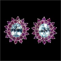 Natural Sky Blue Topaz & Garnet Earrings