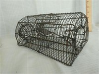 Primitive wire mouse trap