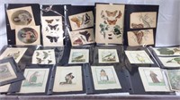 Large lot of antique prints and plates