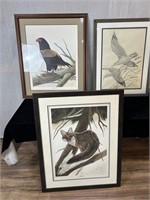 3pc John Ruthven LE Prints: Fox, Eagle, Birds