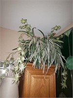 Artificial Plant # 2