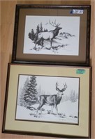 Elk Etching & Deer Etchings by Connie J. Robinson