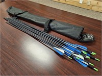 (12) 30" Arrows and Quiver (blue)