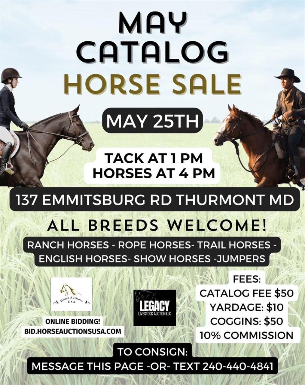 May Catalog Horse Sale