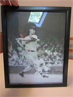 B/W Photo of Ted Williams