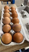 1 Doz Barnyard Mix Fertile Eggs