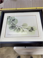 Framed leaf pic