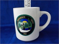 Adirondack Treks BSA mug