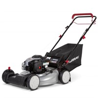 Murray 22 in. 140 cc Briggs & Stratton Lawn Mower