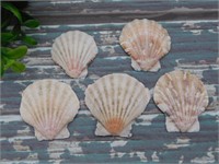 SCALLOP SHELLS