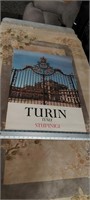 Vintage TURIN Travel poster