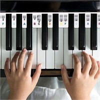 Viilich 88-Key Piano Stickers  Colorful (Silicone)