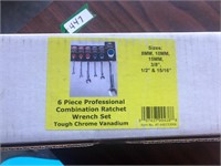 6pc Pro Combination Metric Ratcheting Wrench Set