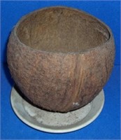 coconut flower pot