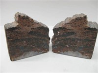 4.5" Tall Petrified Wood Book Ends