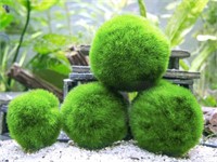 Balacoo Moss Balls Aquarium Simulation Plants Aq