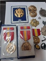 Lot of Various Medals, Military Pins, Button Pin