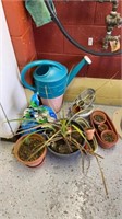 Outdoor Planter’s, watering can & soil- lot of