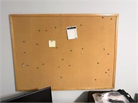 Large Cork Board