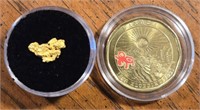 Gold Nugget & Klondike Coin #1