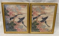 Pair of Framed Peacock Prints