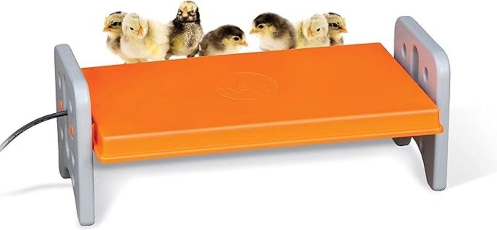 K&H Thermo-Poultry Brooder